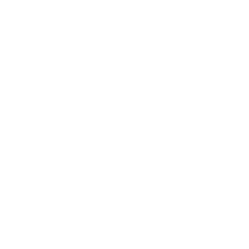 工業質檢